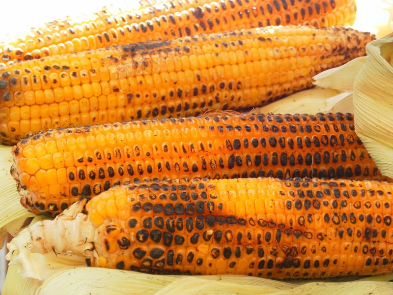 Grilled corn